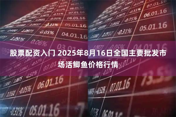 股票配资入门 2025年8月16日全国主要批发市场活鲫鱼价格行情