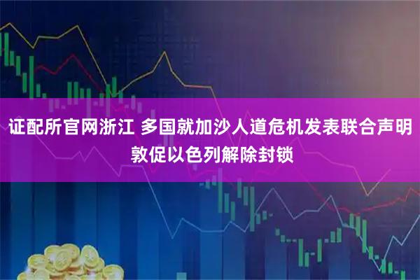 证配所官网浙江 多国就加沙人道危机发表联合声明 敦促以色列解除封锁